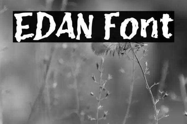 EDAN Example 2