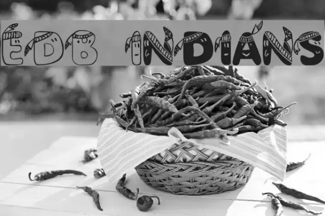 EDB Indians Font examples