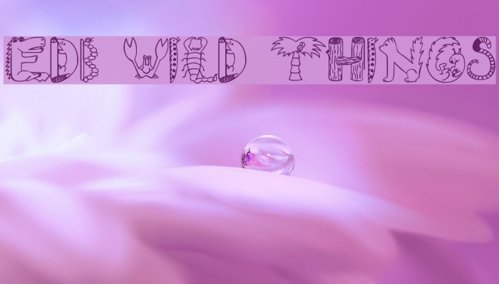 EDB Wild Things Font examples
