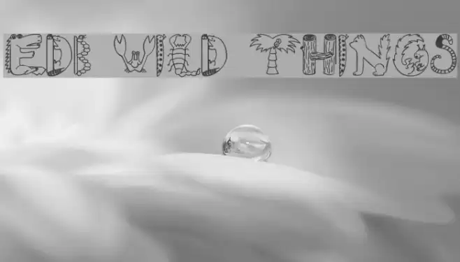 EDB Wild Things Example 1