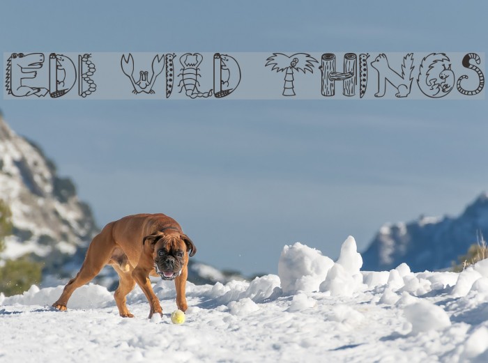 EDB Wild Things Font examples