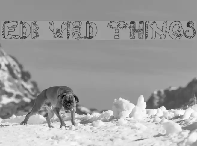 EDB Wild Things Example 3