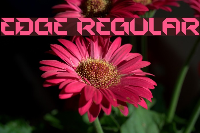 EDGE Regular Font examples