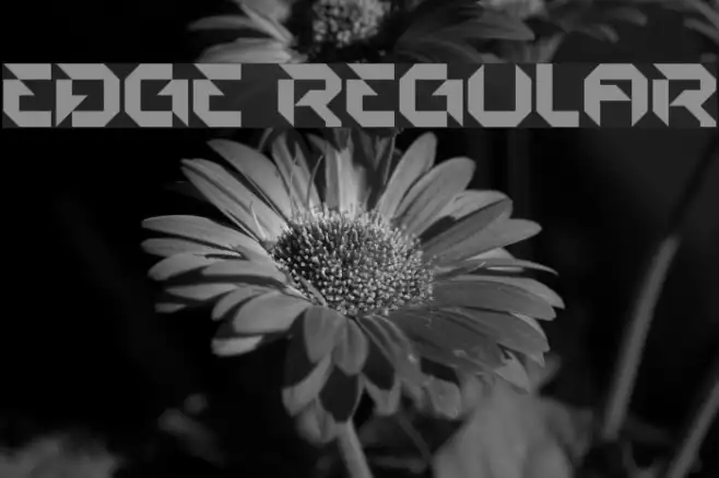 EDGE Regular Example 3