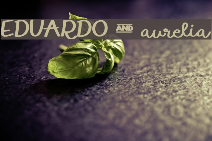 EDUARDO & aurelia Example 2