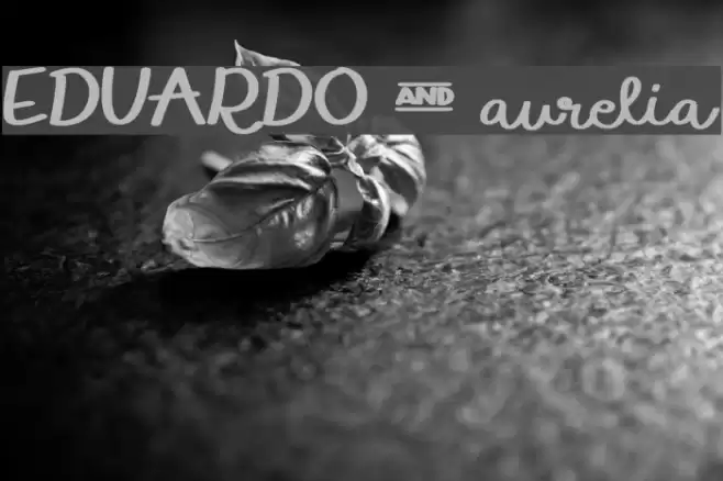 EDUARDO & aurelia Font examples
