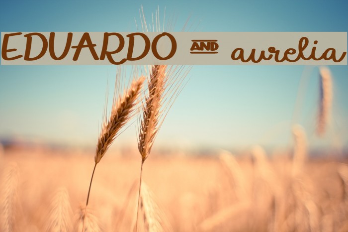 EDUARDO & aurelia Example 3