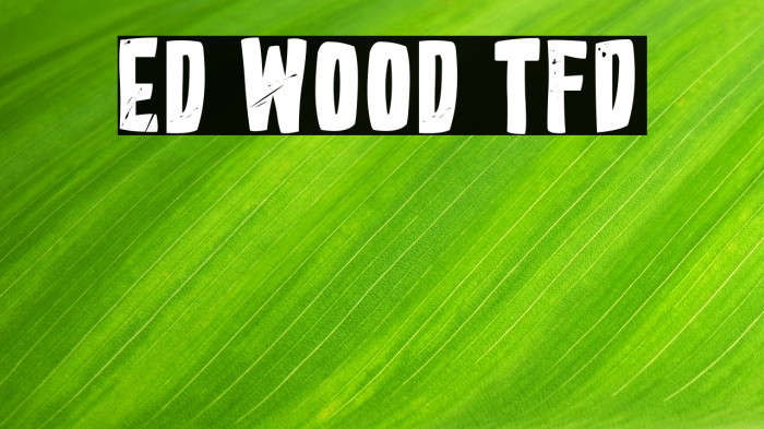 Ed Wood TFD Font examples