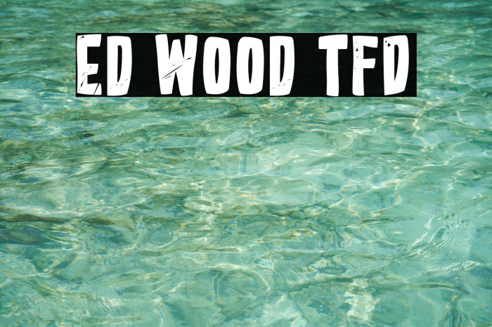 Ed Wood TFD Font examples