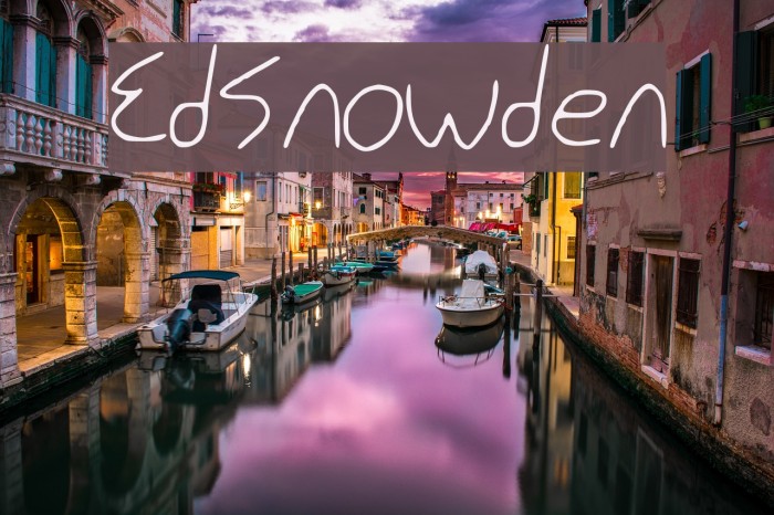 Ed_Snowden Example 1