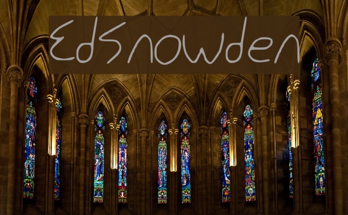 Ed_Snowden Example 3