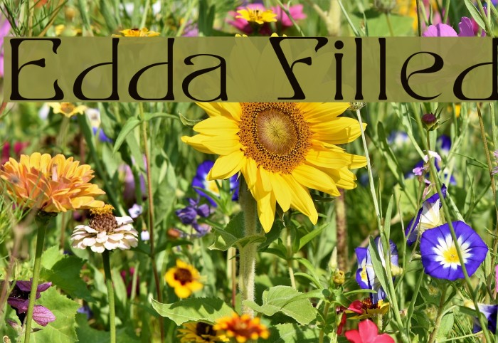 Edda Filled Font examples