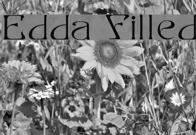 Edda Filled Example 1