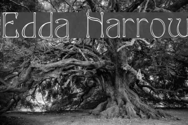Edda Narrow Font examples