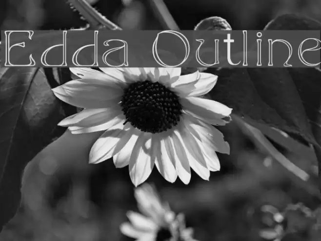 Edda Outline Font examples