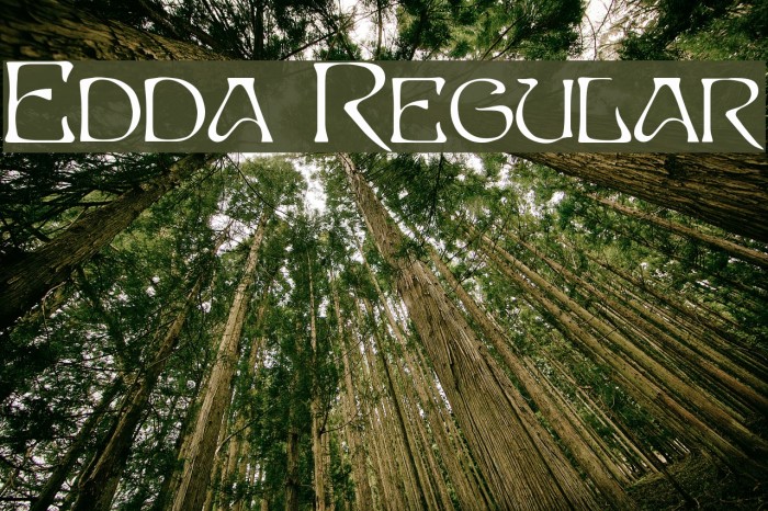 Edda Regular لخطوط تنزيل examples