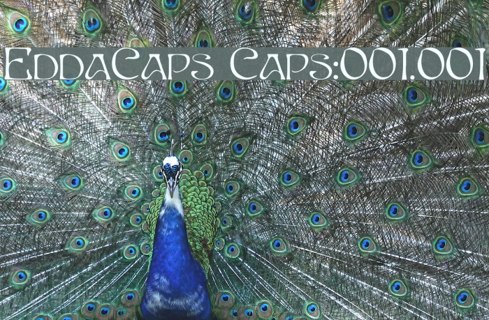 EddaCaps Caps:001.001 Font examples
