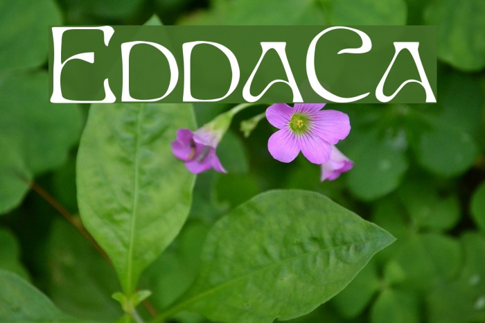 EddaCaps Font examples
