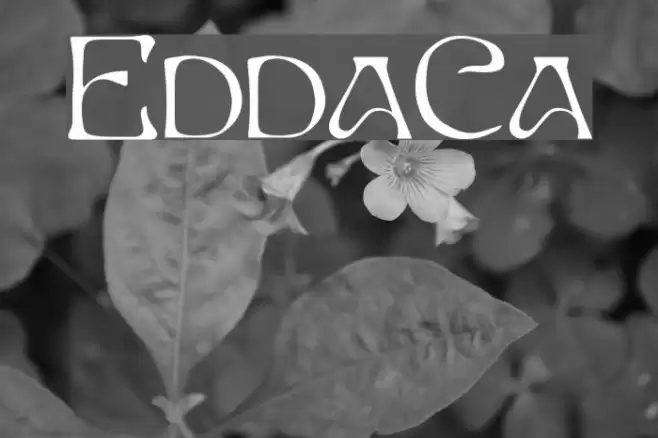 EddaCaps Fuentes examples