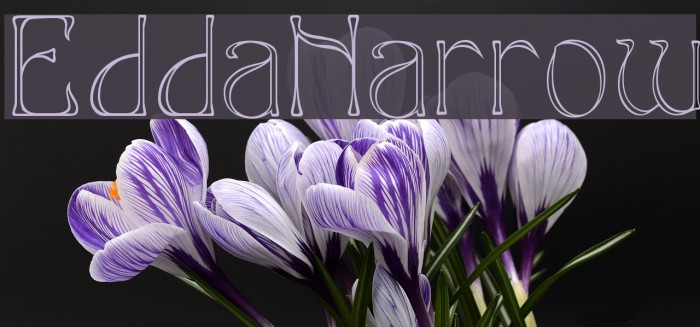 EddaNarrow Font examples