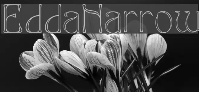 EddaNarrow Example 1
