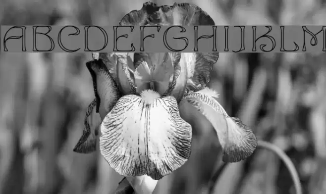 Edda Font examples