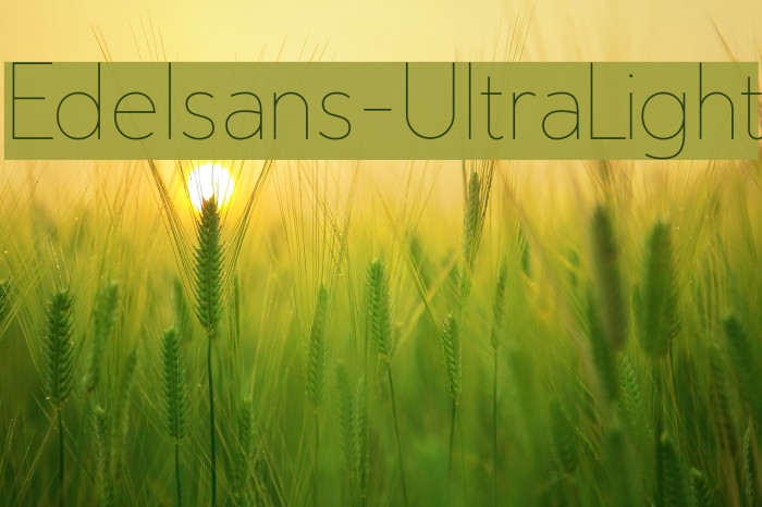 Edelsans-UltraLight Font examples