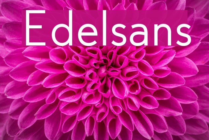 Edelsans Font examples