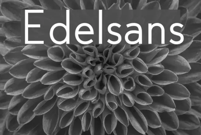 Edelsans Example 1