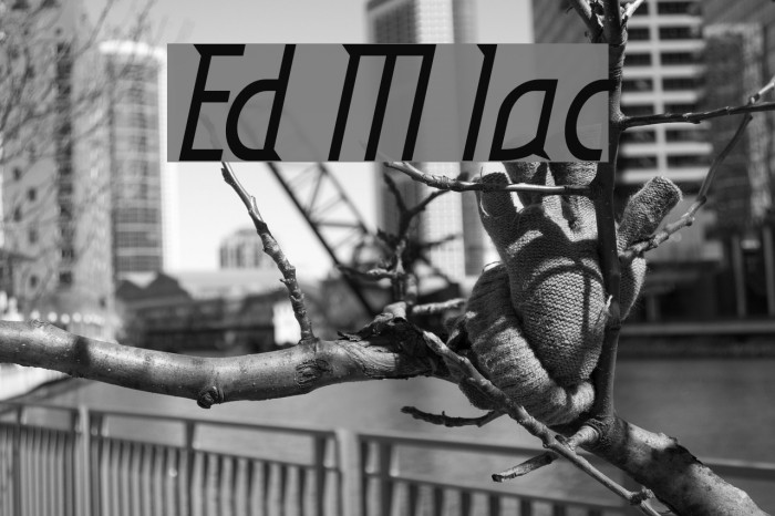 Eden Mills Italic Font examples