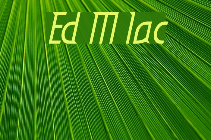 Eden Mills Italic Font examples
