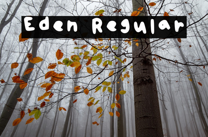 Eden Regular Example 2