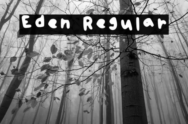 Eden Regular Font examples
