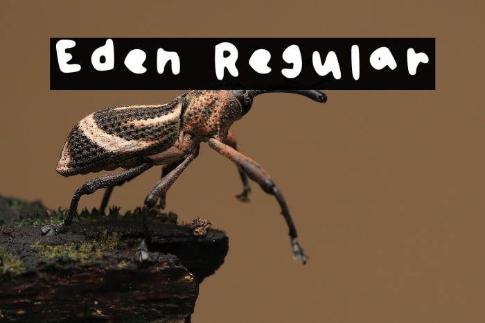 Eden Regular Example 3