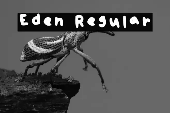 Eden Regular Font examples