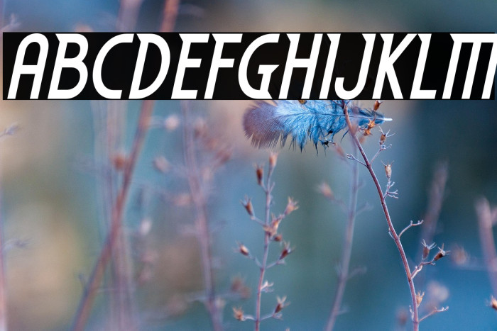 EdenMills-BoldItalic Example 1