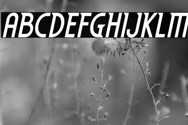 EdenMills-BoldItalic Font examples