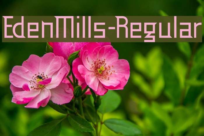 EdenMills-Regular Font examples