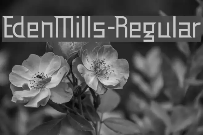 EdenMills-Regular Example 2
