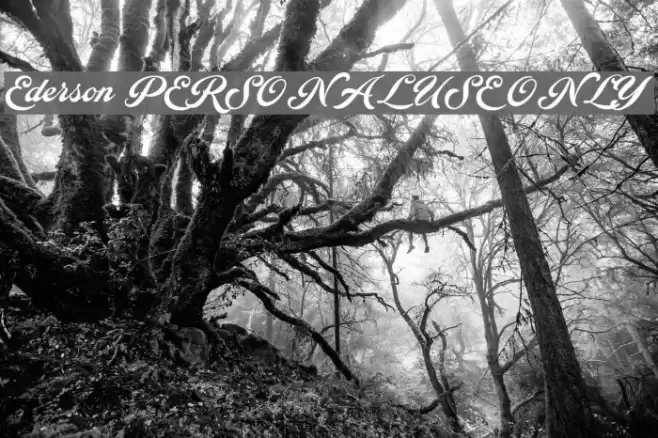 Ederson PERSONAL USE ONLY Font examples