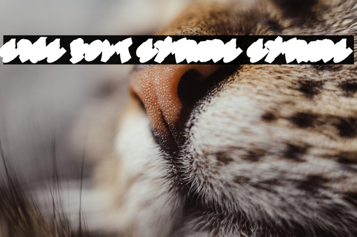 Edge Bolt Extrude Extrude Example 2