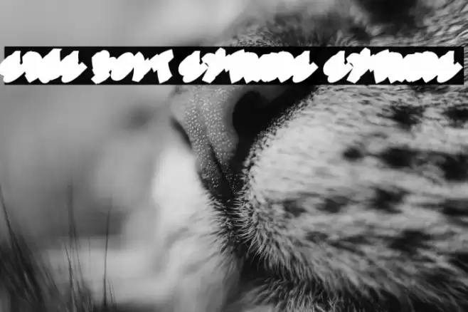 Edge Bolt Extrude Extrude Schriftart examples