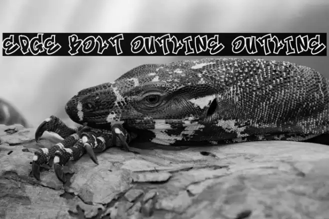 Edge Bolt Outline Outline フォント examples