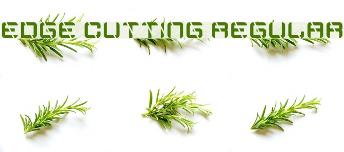 Edge Cutting Regular Font examples