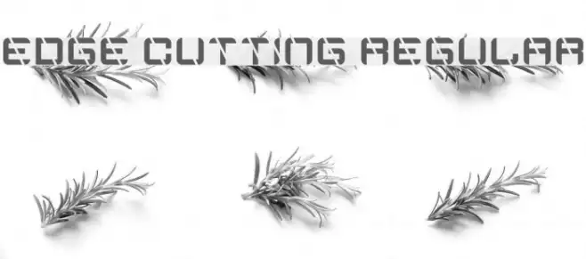 Edge Cutting Regular Example 2