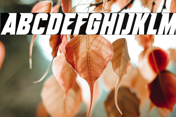 Edge Of Madness Italic Example 1