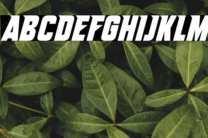 Edge Of Madness Italic Example 3