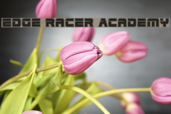 Edge Racer Academy Font examples