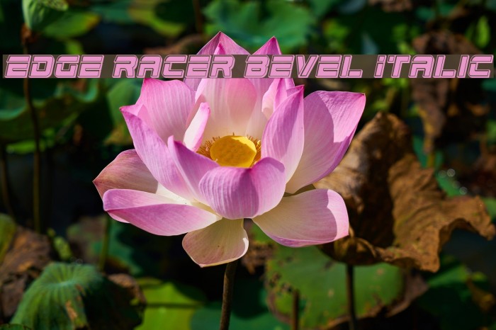 Edge Racer Bevel Italic Font examples