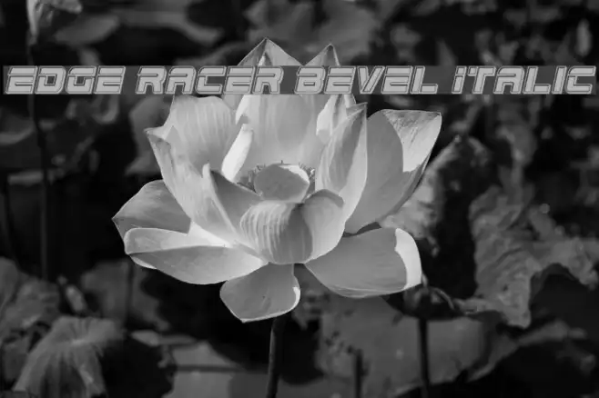 Edge Racer Bevel Italic Example 1
